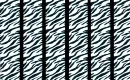 CLOROFUL PRINTS 
