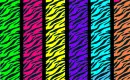 CLOROFUL PRINTS 