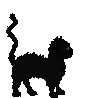 Black Cat
