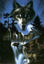 wolf howling at moon