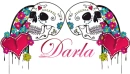 Darla Skulls