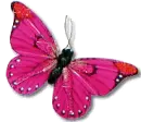 glitter butterfly