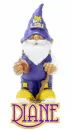 LSU Gnome - Diane
