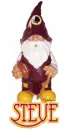 Redskins Gnome - Steve