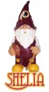 Redskins Gnome - Shelia