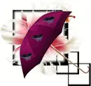 Umbrella