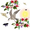 birds