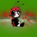 background-coccinella