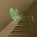 green butterfly on piano