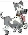doggy