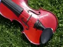 violin