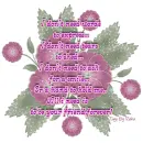 Friendship Qoutes