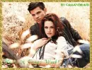 Kristen Stewart And Taylor Lautner Great Week Graphic!