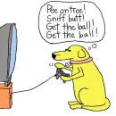 Dog playin a game