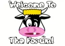 Welcome to the forum