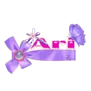 Ari