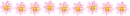 Little Pink Flowers
