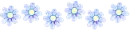 Little Flowers