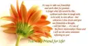 my friend