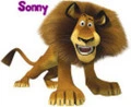 Alex the lion with Sonny name
