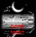 Good night moon