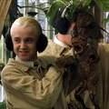 Draco