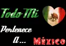 Mi Amor por Mexico