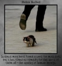Animal Rights