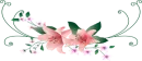 Div