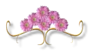 Div
