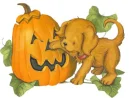 pumpkins
