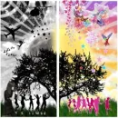black and whit and colour