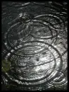 drops rain