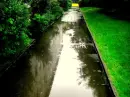 green rain