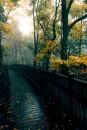 rain on bridge