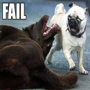 Fail