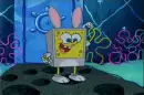 spongebob squre pants 