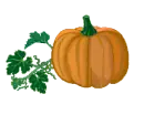 PUMPKIN