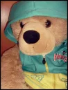 beaar
