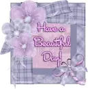 Have a nice day!