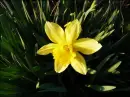 i took this one
