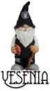 Raiders Gnome - Yesenia