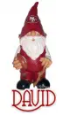 49ers Gnome - David