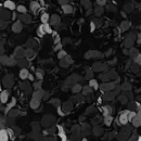 Black Sequins