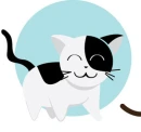 Cute Kitten