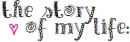Story Of My Life