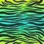 colorful print