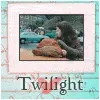 Twilight