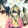Black Bird - Misae