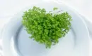 green heart